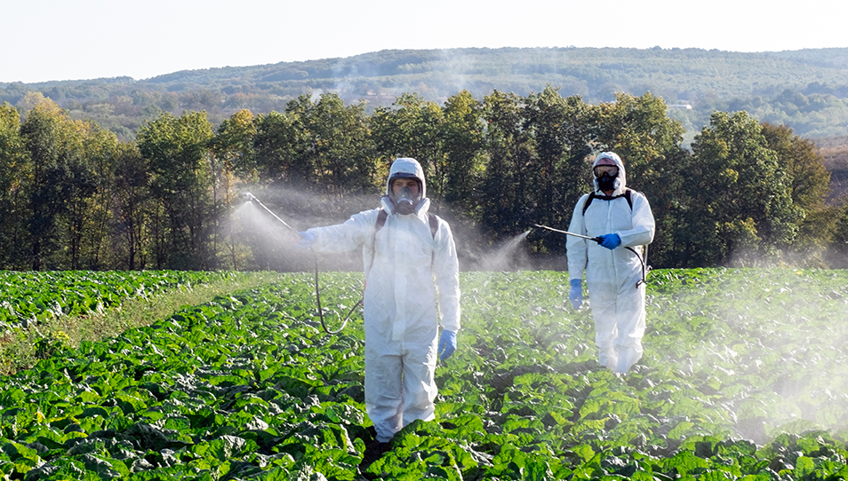 Pesticides and Harsh Chemicals